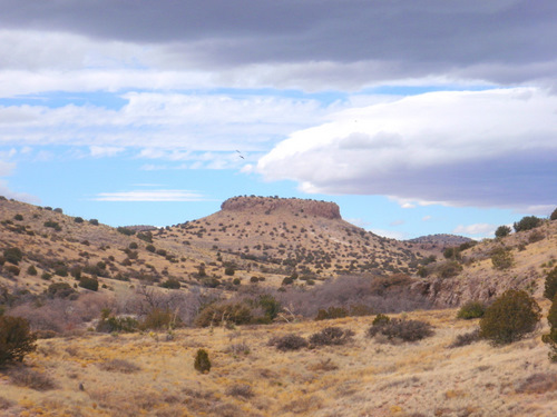 Table Rock with soaring birds.